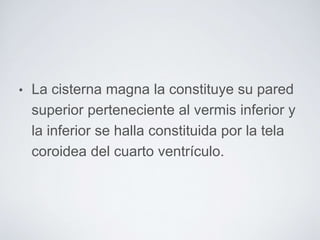 • La cisterna magna la constituye su pared 
superior perteneciente al vermis inferior y 
la inferior se halla constituida por la tela 
coroidea del cuarto ventrículo. 
 