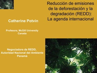 Reducción de emisiones  de la deforestación y la  degradación (REDD): La agenda internacional   Profesora,  McGill University Canada Negociadora de REDD,  Autoridad Nacional del Ambiente Panamá Catherine Potvin 