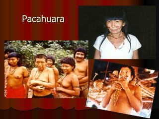 Pacahuara 