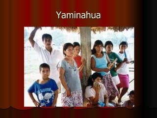 Yaminahua 