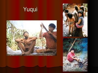Yuqui 
