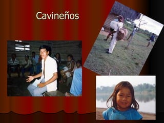 Cavineños 