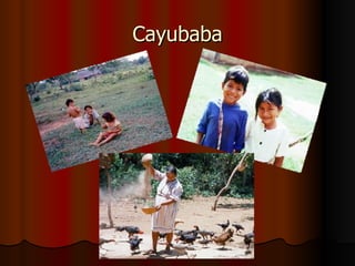 Cayubaba 