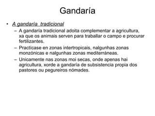Gandaría A gandaría  tradicional A gandaría tradicional adoita complementar a agricultura, xa que os animais serven para traballar o campo e procurar fertilizantes. Practícase en zonas intertropicais, nalgunhas zonas monzónicas e nalgunhas zonas mediterráneas. Unicamente nas zonas moi secas, onde apenas hai agricultura, xorde a gandaría de subsistencia propia dos pastores ou pegureiros nómades. 