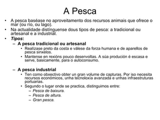 A Pesca A pesca baséase no aproveitamento dos recursos animais que ofrece o mar (ou río, ou lago).  Na actualidade distínguense dous tipos de pesca: a tradicional ou artesanal e a industrial.  Tipos : A pesca tradicional ou artesanal Realízase preto da costa e válese da forza humana e de aparellos de pesca sinxelos.  Mantense en rexións pouco desenvoltas. A súa produción é escasa e serve, basicamente, para o autoconsumo.  A pesca industrial Ten como obxectivo obter un gran volume de capturas.  Por iso necesita recursos económicos, unha tecnoloxía avanzada e unhas infraestruturas portuarias. Segundo o lugar onde se practica, distinguimos entre: Pesca de baixura. Pesca de altura.  Gran pesca. 
