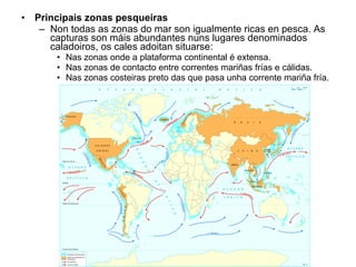 Principais zonas pesqueiras Non todas as zonas do mar son igualmente ricas en pesca.  As capturas son máis abundantes nuns lugares denominados caladoiros, os cales adoitan situarse: Nas zonas onde a plataforma continental é extensa.  Nas zonas de contacto entre correntes mariñas frías e cálidas. Nas zonas costeiras preto das que pasa unha corrente mariña fría.  