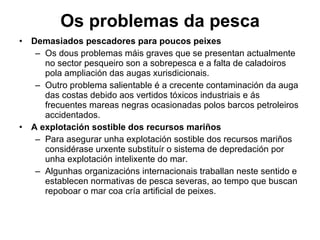 Demasiados pescadores para poucos peixes Os dous problemas máis graves que se presentan actualmente no sector pesqueiro son a sobrepesca e a falta de caladoiros pola ampliación das augas xurisdicionais.  Outro problema salientable é a crecente contaminación da auga das costas debido aos vertidos tóxicos industriais e ás frecuentes mareas negras ocasionadas polos barcos petroleiros accidentados.  A explotación sostible dos recursos mariños Para asegurar unha explotación sostible dos recursos mariños considérase urxente substituír o sistema de depredación por unha explotación intelixente do mar. Algunhas organizacións internacionais traballan neste sentido e establecen normativas de pesca severas, ao tempo que buscan repoboar o mar coa cría artificial de peixes.   Os problemas da pesca 