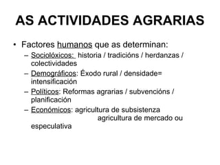 AS ACTIVIDADES AGRARIAS Factores  humanos  que as determinan: Sociolóxicos:  historia / tradicións / herdanzas / colectividades Demográficos : Éxodo rural / densidade= intensificación Políticos : Reformas agrarias / subvencións / planificación Económicos : agricultura de subsistenza      agricultura de mercado ou especulativa 