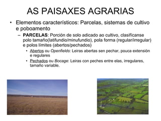 AS PAISAXES AGRARIAS Elementos característicos: Parcelas, sistemas de cultivo e poboamento PARCELAS : Porción de solo adicado ao cultivo, clasifícanse polo tamaño(latifundio/minufundio), pola forma (regular/irregular) e polos límites (abertos/pechados) Abertos  ou  Openfields : Leiras abertas sen pechar, pouca extensión e regulares Pechados  ou  Bocage : Leiras con peches entre elas, irregulares, tamaño variable. 