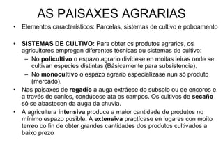 AS PAISAXES AGRARIAS Elementos característicos: Parcelas, sistemas de cultivo e poboamento SISTEMAS DE CULTIVO:  Para obter os produtos agrarios, os agricultores empregan diferentes técnicas ou sistemas de cultivo: No  policultivo  o espazo agrario divídese en moitas leiras onde se cultivan especies distintas (Básicamente para subsistencia). No  monocultivo  o espazo agrario especialízase nun só produto (mercado). Nas paisaxes de  regadío  a auga extráese do subsolo ou de encoros e, a través de canles, condúcese ata os campos. Os cultivos de  secaño  só se abastecen da auga da chuvia. A agricultura  intensiva  produce a maior cantidade de produtos no mínimo espazo posible. A  extensiva  practícase  en lugares con moito terreo co fin de obter grandes cantidades dos produtos cultivados a baixo prezo 