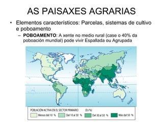 AS PAISAXES AGRARIAS Elementos característicos: Parcelas, sistemas de cultivo e poboamento POBOAMENTO : A xente no medio rural (case o 40% da poboación mundial) pode vivir Espallada ou Agrupada 