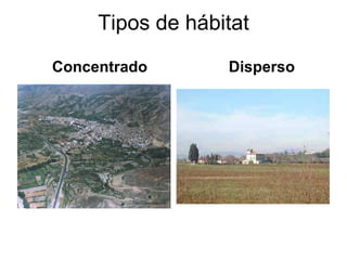 Tipos de hábitat Concentrado  Disperso 