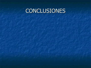 CONCLUSIONES 