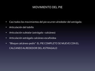 MOVIMIENTO DEL PIE
• Casi todos los movimientos del pie ocurren alrededor del astrágalo:
• Articulación del tobillo
• Articulación subtalar (astrágalo –calcáneo)
• Articulación astrágalo-calcáneo-escafoidea
• “Bloque calcáneo-pedis” EL PIE COMPLETO SE MUEVE CON EL
CALCANEOALREDEDOR DELASTRAGALO
 