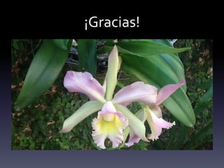 ¡Gracias!
 