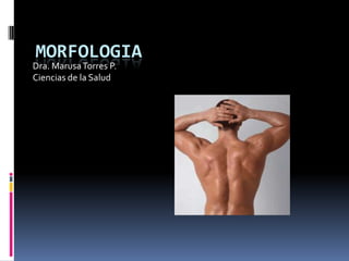 MORFOLOGIA
Dra. MarusaTorres P.
Ciencias de la Salud
 