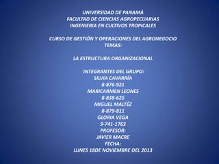 UNIVERSIDAD DE PANAMÁ
FACULTAD DE CIENCIAS AGROPECUARIAS
INGENIERIA EN CULTIVOS TROPICALES
CURSO DE GESTIÓN Y OPERACIONES DEL AGRONEGOCIO
TEMAS:
LA ESTRUCTURA ORGANIZACIONAL
INTEGRANTES DEL GRUPO:
SILVIA CAVARRÍA
8-876-921
MARICARMEN LEONES
8-838-625
MIGUEL MALTÉZ
8-879-811
GLORIA VEGA
9-741-1763
PROFESOR:
JAVIER MACRE
FECHA:
LUNES 18DE NOVIEMBRE DEL 2013

 