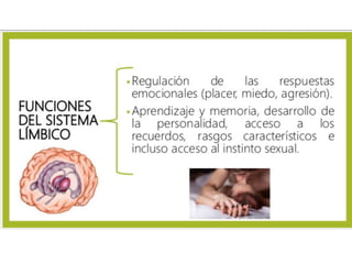 Psicofisiologia del instinto sexual