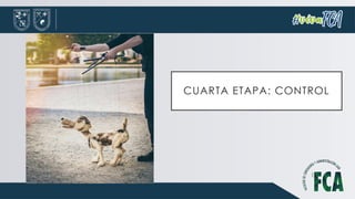 CUARTA ETAPA: CONTROL
 