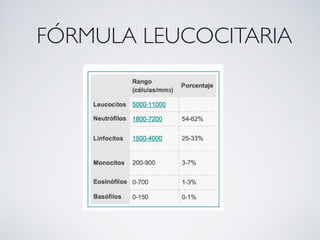 FÓRMULA LEUCOCITARIA
 