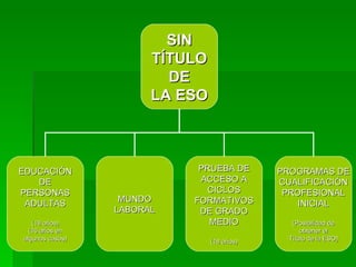 SIN TÍTULO DE LA ESO EDUCACIÓN DE PERSONAS ADULTAS (18 años) (16 años en algunos casos) MUNDO LABORAL PRUEBA DE ACCESO A CICLOS FORMATIVOS DE GRADO MEDIO (18 años) PROGRAMAS DE CUALIFICACIÓN PROFESIONAL INICIAL (Posibilidad de obtener el Título de la ESO) 