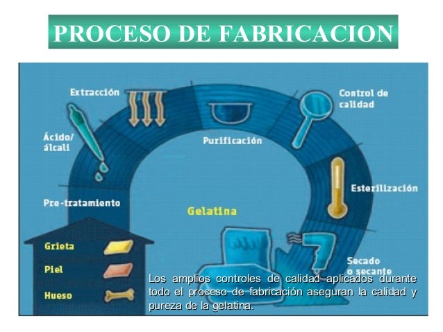 Presentacion4 gelatinas