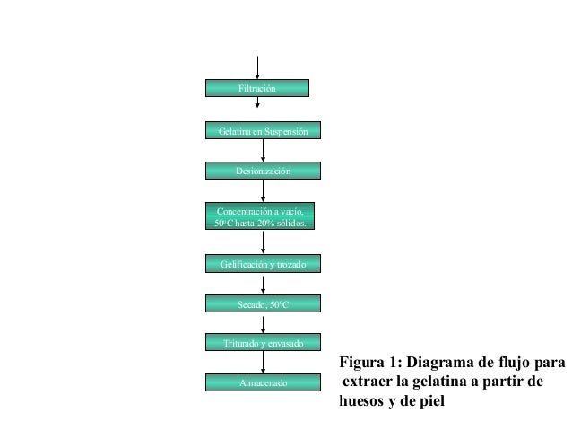 Presentacion4 gelatinas