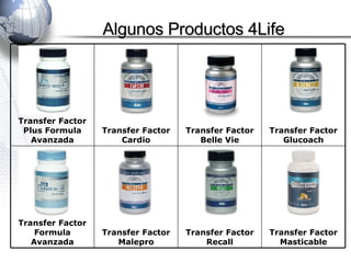 Algunos Productos 4Life Transfer Factor Masticable Transfer Factor Recall Transfer Factor Malepro Transfer Factor Formula Avanzada Transfer Factor Glucoach Transfer Factor Belle Vie Transfer Factor Cardio Transfer Factor Plus   Formula Avanzada 