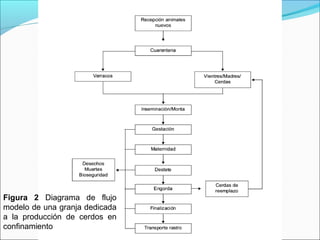 Figura 2 Diagrama de flujo
modelo de una granja dedicada
a la producción de cerdos en
confinamiento
 