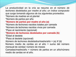 La productividad en la cría se resume en el número de
lechones destetados por madre al año; un índice compuesto
que surge tomando algunos de los siguientes promedios:
*Número de madres en el plantel
*Número de partos por año
*Número de partos por madre al año (a)
*Número de lechones nacidos totales por camada
*Número de lechones nacidos vivos por camada
*Peso al nacimiento (opcional)
*Número de lechones destetados por camada (b)
*Edad al destete
*Peso al destete (opcional)
Número de lechones destetados/madre/año = (a) X (b)
Número medio de cerdas en el año = suma del número
mensual de cerdas/ número de meses
Camadas/madre/año = número de partos en un año/número
medio de cerdas en el año.
 