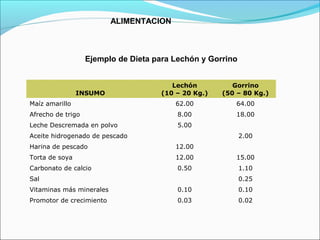 ALIMENTACION
Ejemplo de Dieta para Lechón y Gorrino
INSUMO
Lechón
(10 – 20 Kg.)
Gorrino
(50 – 80 Kg.)
Maíz amarillo 62.00 64.00
Afrecho de trigo 8.00 18.00
Leche Descremada en polvo 5.00
Aceite hidrogenado de pescado 2.00
Harina de pescado 12.00
Torta de soya 12.00 15.00
Carbonato de calcio 0.50 1.10
Sal 0.25
Vitaminas más minerales 0.10 0.10
Promotor de crecimiento 0.03 0.02
 