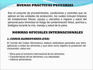 Son el conjunto de procedimientos, condiciones y controles que se
aplican en las unidades de producción, los cuales incluyen limpieza
de instalaciones físicas, equipo y utensilios e higiene y salud del
personal para minimizar el riesgo de contaminación física, química y
biológica durante la cría, manejo y salud de la piara.
BUENAS PRACTICAS PECUARIAS
NORMAS OFICIALES INTERNACIONALES
1. CODEX ALIMENTARIUS (FAO)
El Comité del Codex Alimentarius elabora estándares generales que tiene
aplicación a todos los alimentos y que tiene como objetivo la protección del
consumidor, estos son:
• Ética para el comercio internacional de los alimentos.
• Características de los alimentos y su etiquetado.
• Aditivos alimentarios.
 