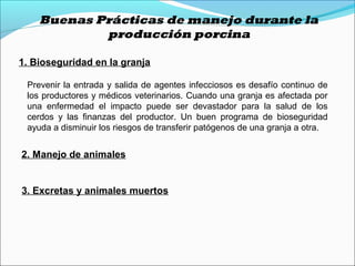 Buenas Prácticas de manejo durante la
producción porcina
1. Bioseguridad en la granja
Prevenir la entrada y salida de agentes infecciosos es desafío continuo de
los productores y médicos veterinarios. Cuando una granja es afectada por
una enfermedad el impacto puede ser devastador para la salud de los
cerdos y las finanzas del productor. Un buen programa de bioseguridad
ayuda a disminuir los riesgos de transferir patógenos de una granja a otra.
2. Manejo de animales
3. Excretas y animales muertos
 