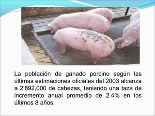 La población de ganado porcino según las
últimas estimaciones oficiales del 2003 alcanza
a 2’892,000 de cabezas, teniendo una taza de
incremento anual promedio de 2.4% en los
últimos 8 años.
 