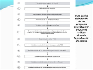 Guía para la
elaboración
de un
programa
de evaluación
de puntos
críticos
durante
la producción
de cerdos
 