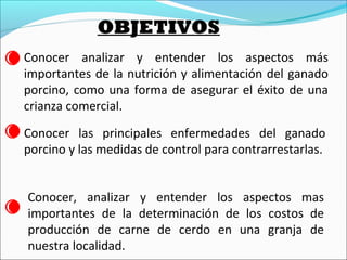 OBJETIVOS
Conocer analizar y entender los aspectos más
importantes de la nutrición y alimentación del ganado
porcino, como una forma de asegurar el éxito de una
crianza comercial.
Conocer las principales enfermedades del ganado
porcino y las medidas de control para contrarrestarlas.
Conocer, analizar y entender los aspectos mas
importantes de la determinación de los costos de
producción de carne de cerdo en una granja de
nuestra localidad.
 
