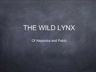 THE WILD LYNX
Of Alejandra and Pablo
 