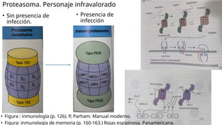 Comprehensive Overview of Antigens and Antibodies in Immunology | PPTX