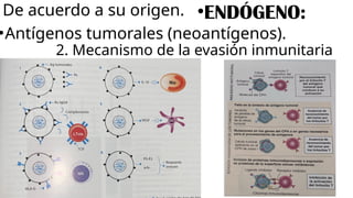 Comprehensive Overview of Antigens and Antibodies in Immunology | PPTX