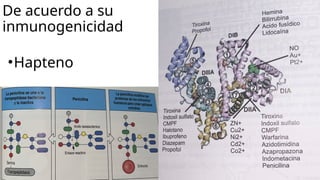 Comprehensive Overview of Antigens and Antibodies in Immunology | PPTX
