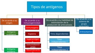 Comprehensive Overview of Antigens and Antibodies in Immunology | PPTX