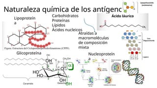 Comprehensive Overview of Antigens and Antibodies in Immunology | PPTX