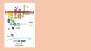Comprehensive Overview of Antigens and Antibodies in Immunology | PPTX