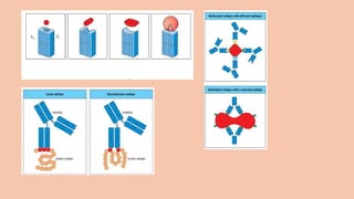 Comprehensive Overview of Antigens and Antibodies in Immunology | PPTX
