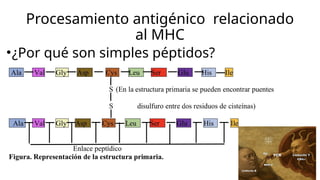 Comprehensive Overview of Antigens and Antibodies in Immunology | PPTX