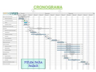 CRONOGRAMA
 