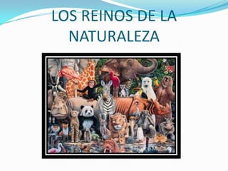 Presentacion 5 reinos de la naturaleza | PPTX