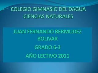 JUAN FERNANDO BERMUDEZ
         BOLIVAR
        GRADO 6-3
    AÑO LECTIVO 2011
 