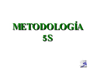 METODOLOGÍA 5S 