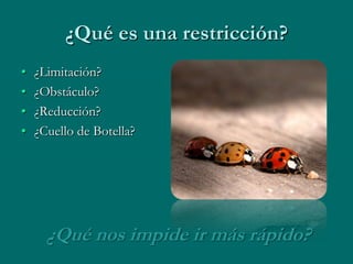 ¿Qué es una restricción?
•   ¿Limitación?
•   ¿Obstáculo?
•   ¿Reducción?
•   ¿Cuello de Botella?




      ¿Qué nos impide ir más rápido?
 